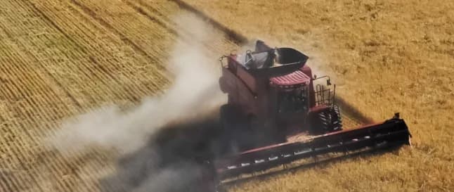 Pampa construirá la mayor planta de urea regional