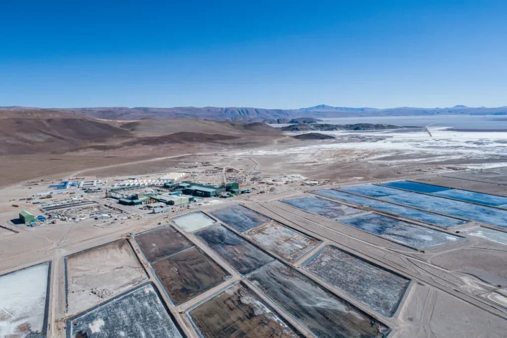 Ciencia del litio: líneas de investigación y desafíos