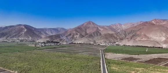 Southern Perú asegura US$1.250M para Tía María