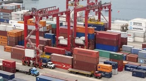 Exportaciones argentinas: US$ 49.454 M en primer semestre