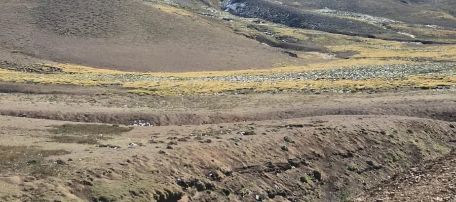 Mendoza rechazó tres exploraciones en Malargüe