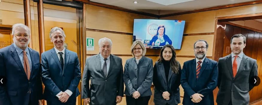 Argentina y Chile aprueban protocolo para Vicuña